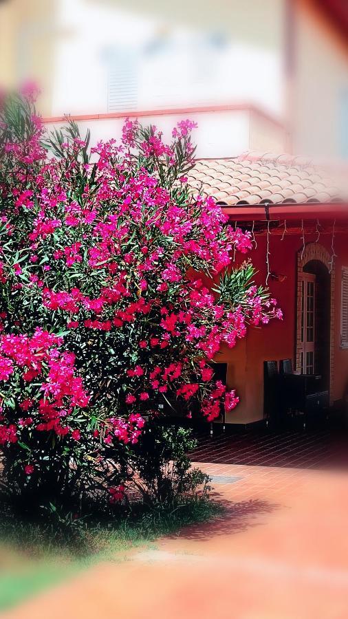 منزل الضيف Mosciano SantʼAngelo  في Country-House Pecora Nera المظهر الخارجي الصورة