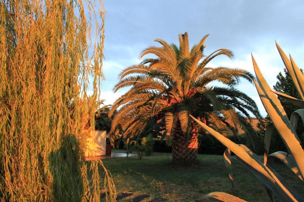 منزل الضيف Mosciano SantʼAngelo  في Country-House Pecora Nera المظهر الخارجي الصورة