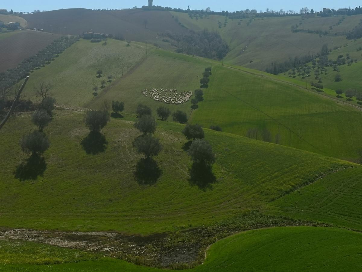 منزل الضيف Mosciano SantʼAngelo  في Country-House Pecora Nera المظهر الخارجي الصورة